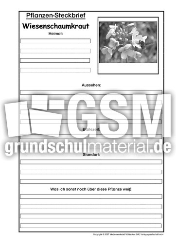 Pflanzensteckbrief-Wiesenschaumkraut-SW.pdf